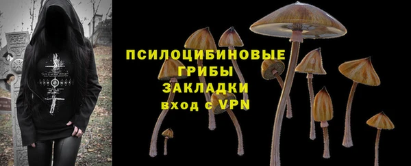 наркотики Карпинск