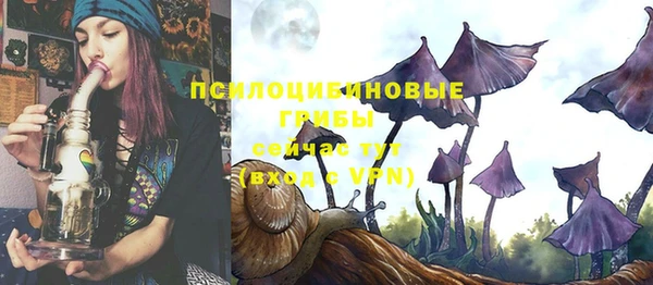 прущая мука Карталы