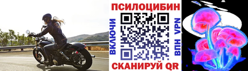 Галлюциногенные грибы Psilocybine cubensis  Слободской 
