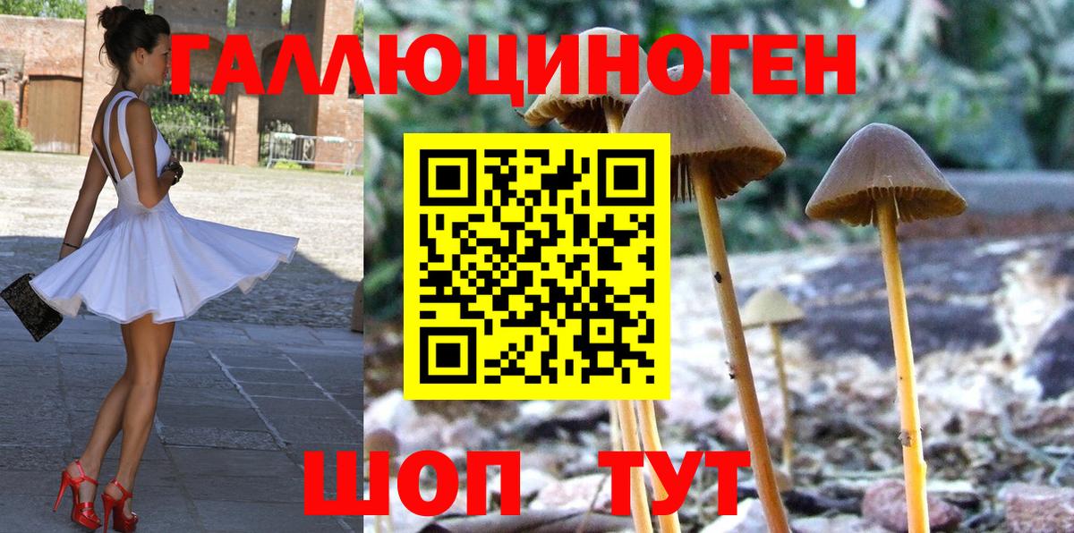 Псилоцибиновые грибы MAGIC MUSHROOMS  Вход с VPN  Слободской 